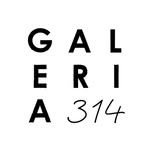 galeria_314 profile picture