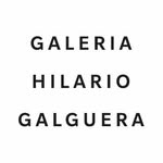 galeriahilariogalguera profile picture