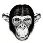 galeria_osso profile picture