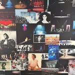 galerie_patrizia_pilotti profile picture
