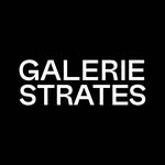 galeriestrates profile picture
