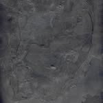 galilee_by_sea profile picture