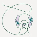 gals.foundation profile picture