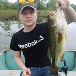 gaub_25 profile picture