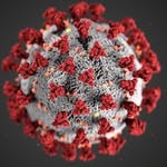 gaysovercovid profile picture