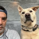 gchopra profile picture