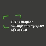 gdt.ewpy profile picture