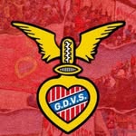 gdvsernache profile picture