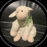 gekkasanctuary profile picture