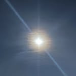 genetic__engineering_ profile picture