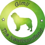 gentlegiantgimli profile picture