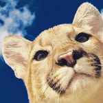 geolive89 profile picture
