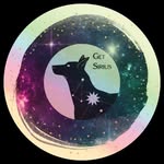 get.sirius profile picture