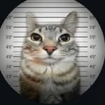 get_se78 profile picture