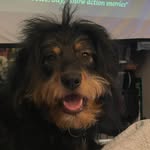 gettoknowbo profile picture
