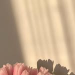 gh_jumana profile picture