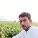 ghasiram3493 profile picture