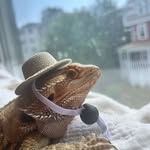 ghxstdvddysl profile picture
