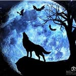 ghyasyfyrwzahmd profile picture