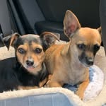 gia_and_stassi profile picture