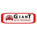 giant_automecanica profile picture