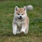 giga.content profile picture