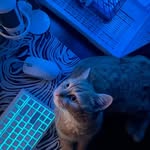 giggabytess profile picture
