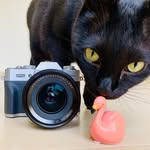 gigi_photoarttraveller profile picture