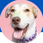 gigithebaddie24 profile picture