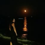 gigliofrairovi profile picture