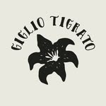 gigliotigrrrato profile picture