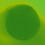 gilleamtrapenberg profile picture