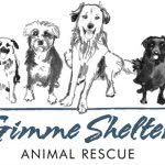 gimmeshelteranimalrescue profile picture