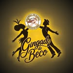 gingadodobeco profile picture