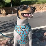 ginnybodeguera profile picture