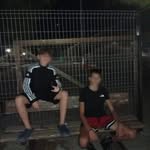 giorgaras_7 profile picture