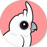 giorgiothecockatoo profile picture