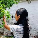 giriakanksha1099 profile picture