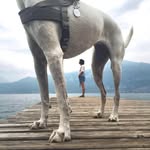 giuliapiermartiri profile picture