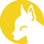 gizmosgoldenpaws profile picture