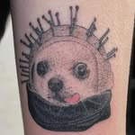 gizzard_the_chihuahua profile picture