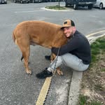 gjleone profile picture