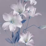 gk_wearnail profile picture