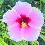 glenda_hairandbeauty profile picture