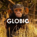 globioapes profile picture