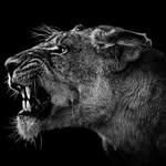 gnarlyanimals profile picture