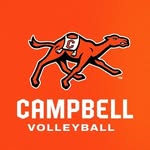 gocamelsvb profile picture