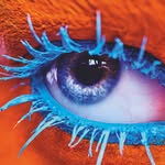 god.of.makeup profile picture