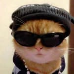 godfather.bittu profile picture