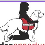 gofidog profile picture